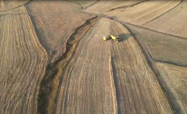 Ardahan'da arpa ve buğday hasadı sürüyor