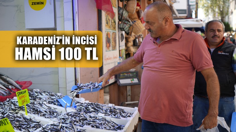 Karadeniz'in incisi hamsi tezgahlarda: Ne alırsan 100 TL