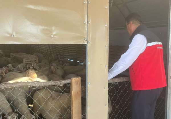 Tekirdağ'da hayvancılığa yakın takip