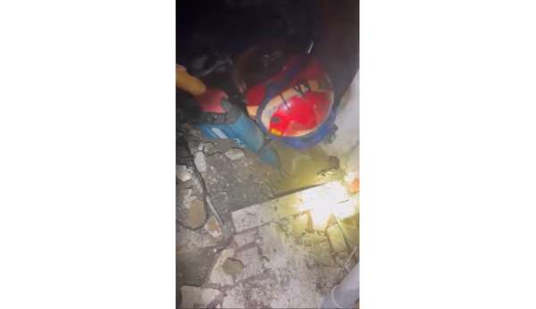 Yaramaz kedi, kaza kaza kendini toprağa gömdü