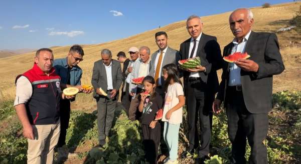 Yüksekova'da mısır, karpuz ve kavun hasadı yapıldı