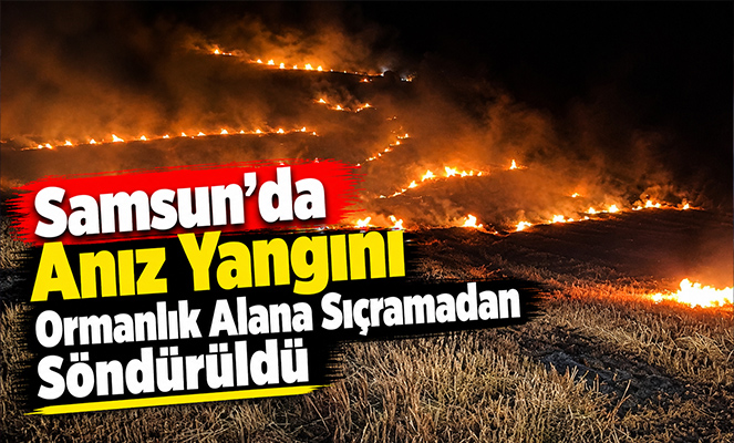 Samsun'da anız yangını ormanlık alana sıçramadan söndürüldü