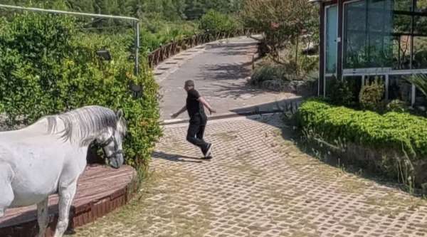 Klip çekiminde atın altında kalmaktan son anda kurtuldu