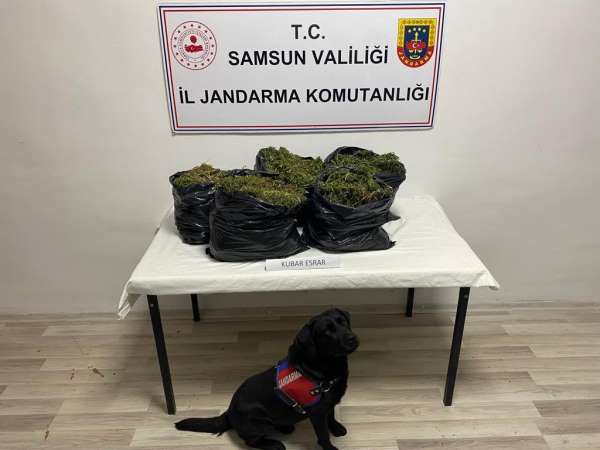Samsun'da yazlık eve operasyon: 15 kilo kubar esrar ele geçirildi, 2 kişi yakalandı