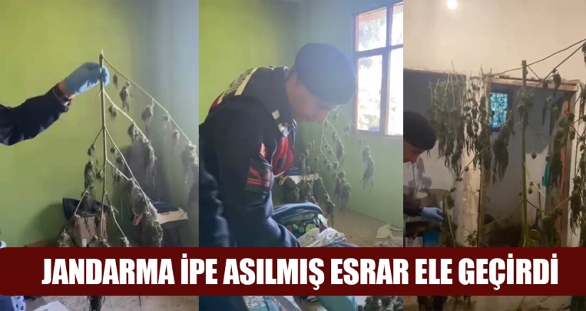 Samsun'da jandarmadan uyuşturucu operasyonu: İpe asılmış esrar ele geçirildi