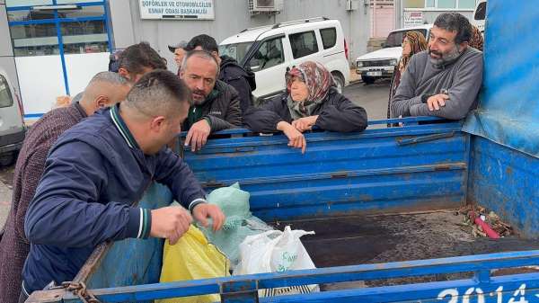 Alaplı'da kuraklık ve gal arısı istilası ünlü kuzu kestanesini de vurdu