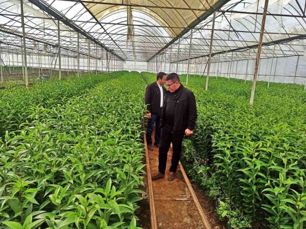 Emet'te üreticiler için Simav'daki seralara teknik gezi