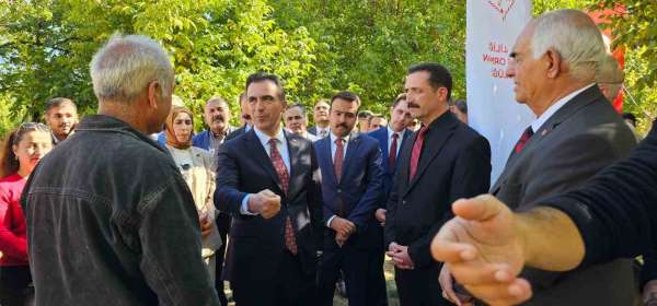 Vali Ahmet Karakaya ceviz hasadına katıldı