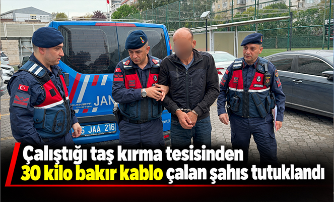 Taş kırma tesisinden 30 kilo bakır kablo çalan şahıs tutuklandı