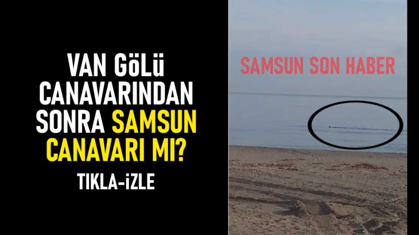 Van gölü canavarından sonra Samsun canavarı mı?