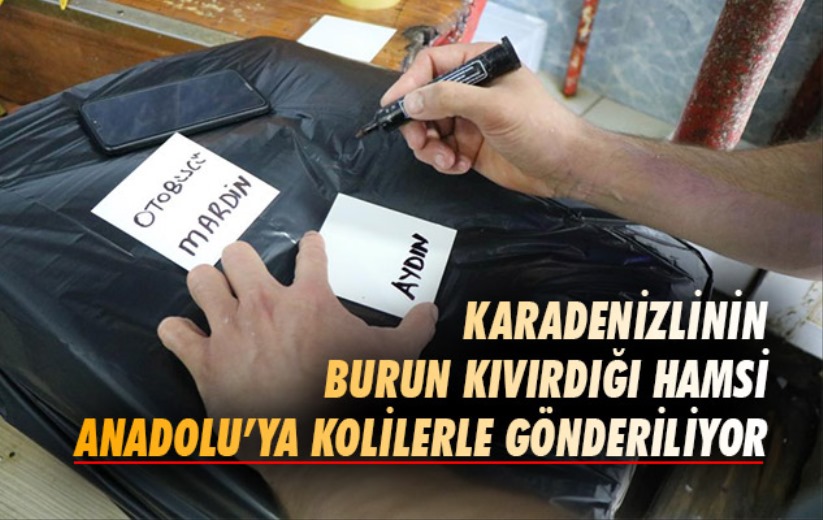 Karadenizlilerin burun kıvırdığı hamsi Anadolu'ya kolilerle gönderiliyor