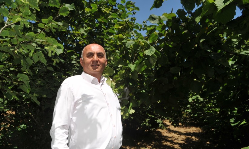 Dünya Fındık Piyasasında Tezat: Rekolte Düşük, Fiyatlar Yükselmiyor