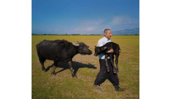 Tokatlı fırın ustasının Paris'teki ödül sevinci vize engeline takıldı