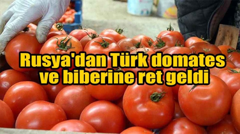 Rusya'dan Türk domates ve biberine ret geldi