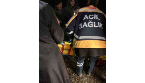 Alaplı'da pat pat kazası: 2 yaralı