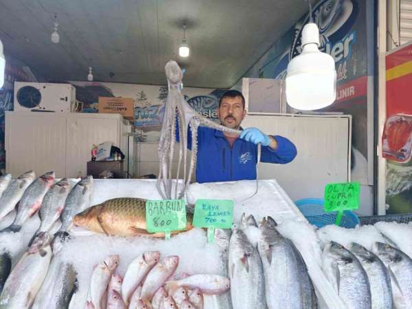 Denize kıyısı olmayan Kahramanmaraş'ta balığa yoğun ilgi