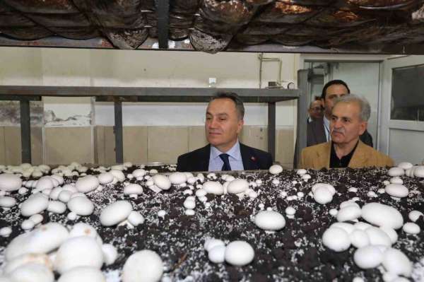 TOGÜ'de üretime dayalı eğitim modelleri güçleniyor