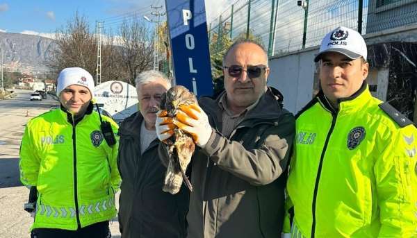 Yaralı şahine polis şefkati