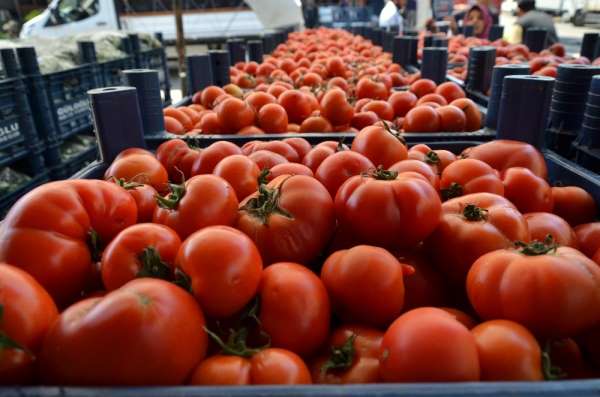 Adana'da domates ve salatalığın kilosu 1 liraya düştü 