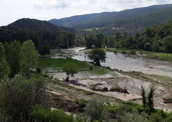 Boyabat'ta sel çeltik tarlalarını vurdu 