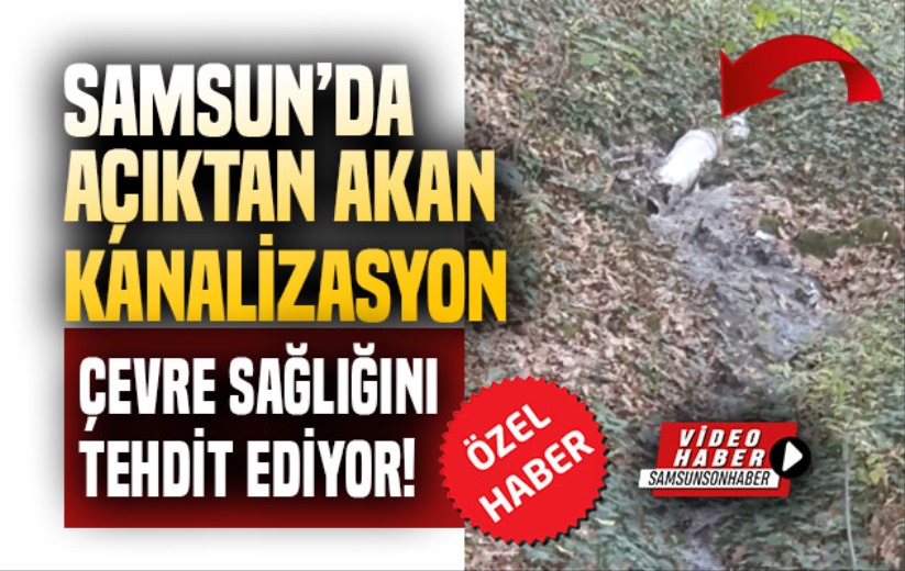 Samsun'da açıktan akan kanalizasyon çevreyi tehdit ediyor!