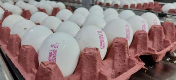 Yumurta fiyatlarının yükselmesinde üreticiler aracıları sorumlu tuttu