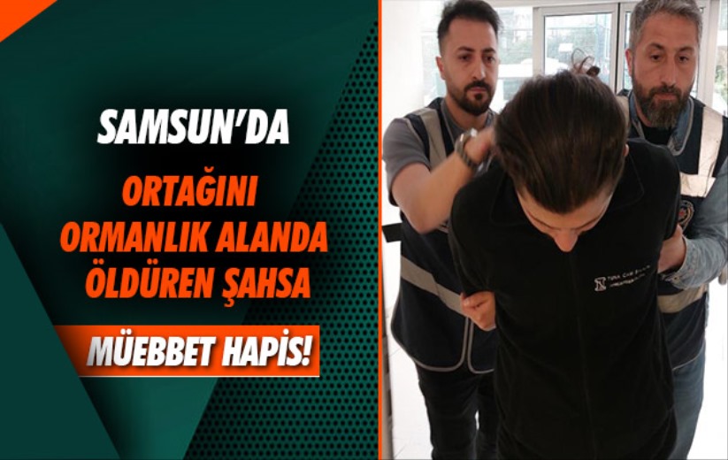 Samsun'da ortağını ormanlık alanda öldüren şahsa müebbet hapis