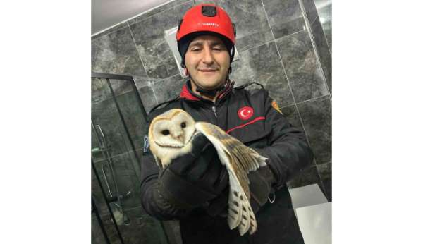 Evin banyosunda mahsur kalan baykuşu itfaiye ekibi kurtardı