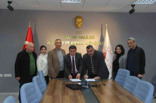 Yalova Kıvırcığı Projesi'nde yeni dönem başladı