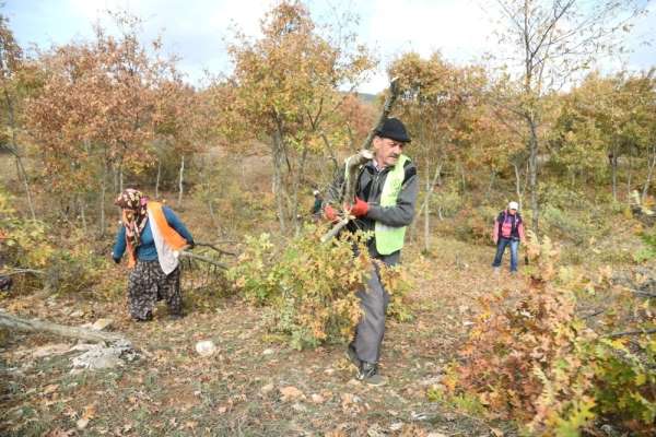 Alpu'da orman yatırımları yüzleri güldürüyor