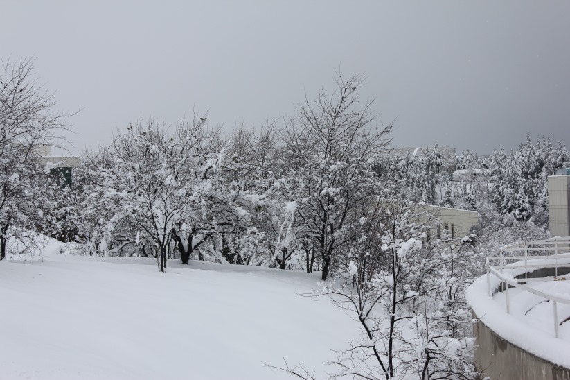 Samsun'da kar kalınlığı şaşırttı!