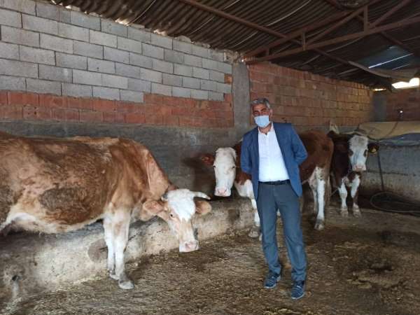 Siirt'te devlet desteğiyle hayvancılık gelişiyor