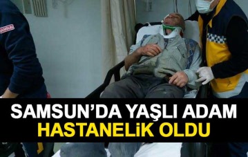 Samsun'da yaşlı adam hastanelik oldu