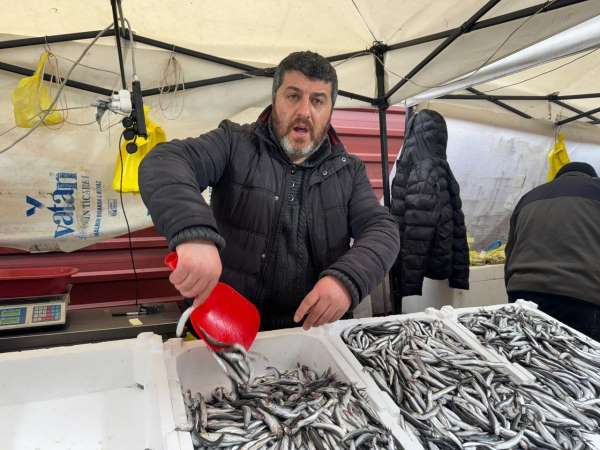 Zonguldak'ta hamsi 100 liradan alıcı buldu