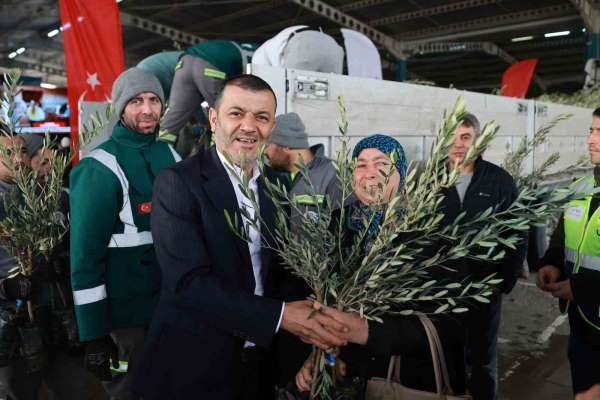 Denizli'nin 19 ilçesinde 84 bin zeytin fidanı üreticilere dağıtıldı
