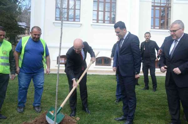 Hazine ve Maliye Bakanı Mehmet Şimşek Bilecik'te çınar fidesi dikti