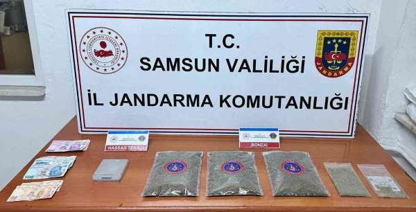 Samsun'da jandarma 1 kilo 50 gram bonzai ele geçirdi: 1 gözaltı