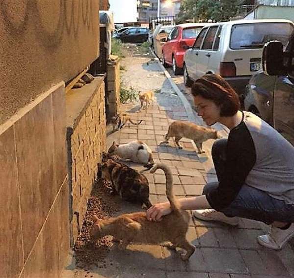 Üniversiteli 2 genç hocalarıyla birlikte sokak hayvanları için yemek artıklarını