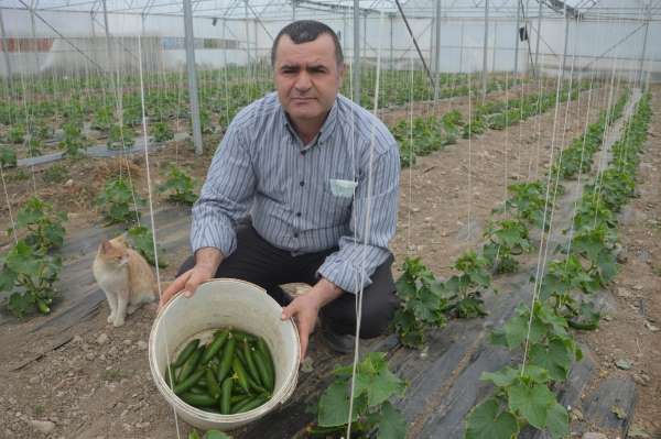 Öğretmenliği bıraktı, çiftlik kurdu