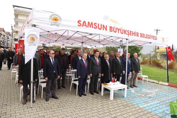 Samsun'da çiftçilere silajlık mısır desteği