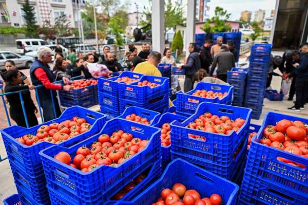 Zirai dona karşı Muratpaşa'dan 10 tonluk domates desteği
