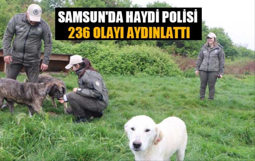 Samsun'da HAYDİ polisi 236 olayı aydınlattı