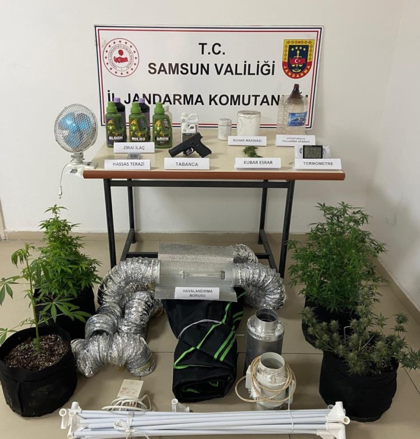 Samsun'da Jandarmadan evinde uyuşturucu yetiştiren şahsa operasyon