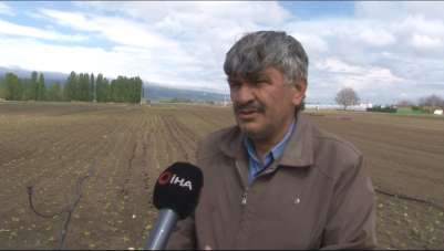 Eskişehir'de yetersiz yağışlar sebze ve meyve fiyatlarını olumsuz etkiledi