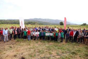 Köyceğiz Döğüşbelen'de 400 dekar meralık alan açıldı