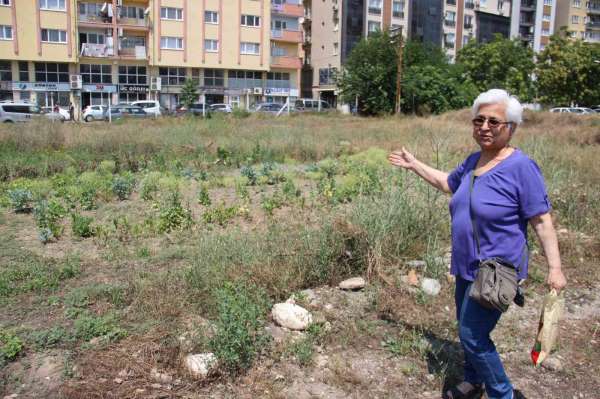 Aydındaki Aykonutzedelerin umutları tükendi