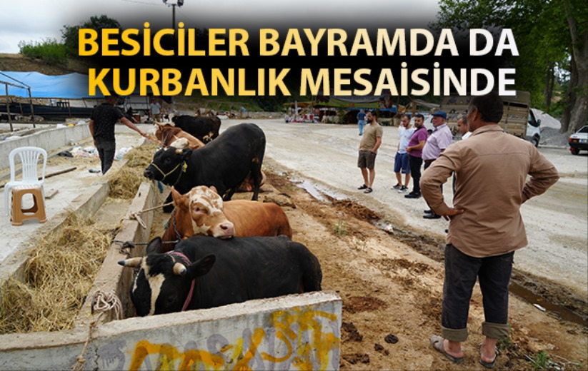 Besiciler bayramda da kurbanlık mesaisinde