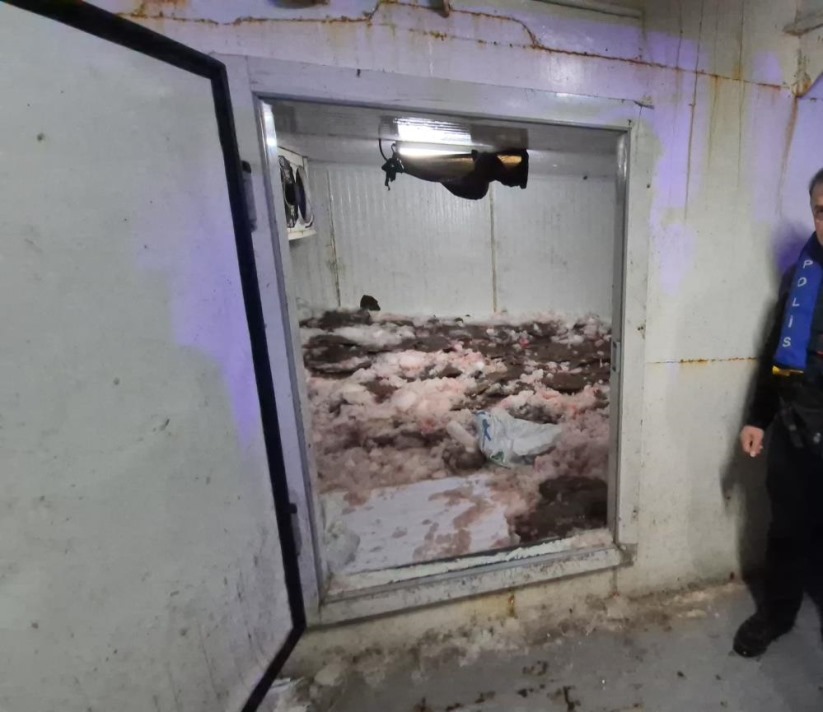 Samsun açıklarında 6 ton kaçak kalkan balığı ele geçirildi