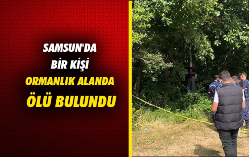 Samsun'da bir kişi ormanlık alanda ölü bulundu