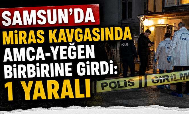 Miras kavgasında amca-yeğen birbirine girdi